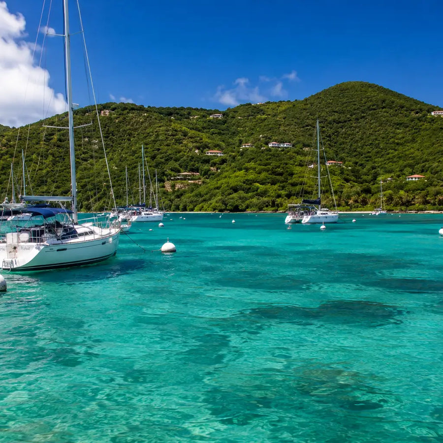 Sailboats secured to National Park mooring balls in the crystal-clear waters near Cruz Bay, St. John, U.S. Virgin Islands, surrounded by lush green hills.