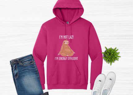 Kids Sloth Sweatshirt | Youth Hooded Sweatshirt | Animal Lover Gift | Child Sloth Gift | Sloth Hoodie