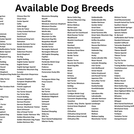 Youth Pet Water Bottle | Personalized Pet Bottle | Dog Owner Water Bottle| Dog Mom Gift | Cat Owner Gift | New Dog Owner | Pet Lover Gift